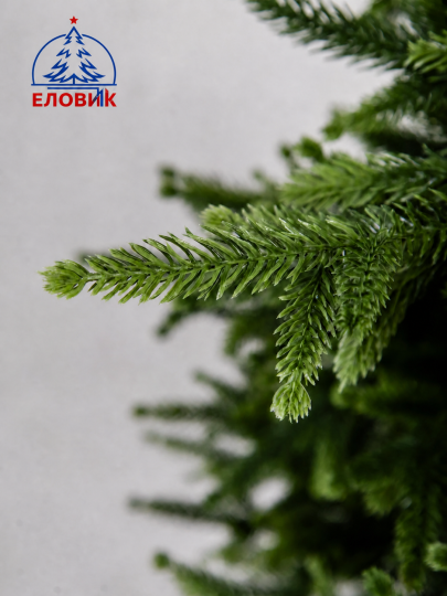 Ель Изумрудная