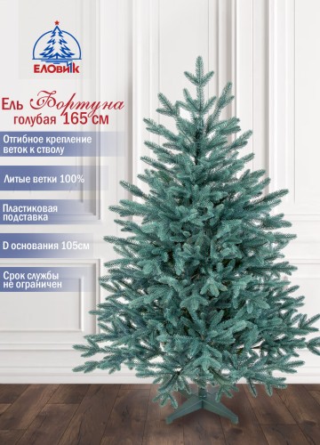 Ель Фортуна голубая