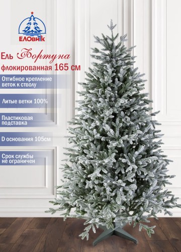Ель Фортуна заснеженная