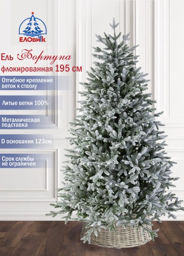 Ель Фортуна заснеженная Ель Фортуна заснеженная